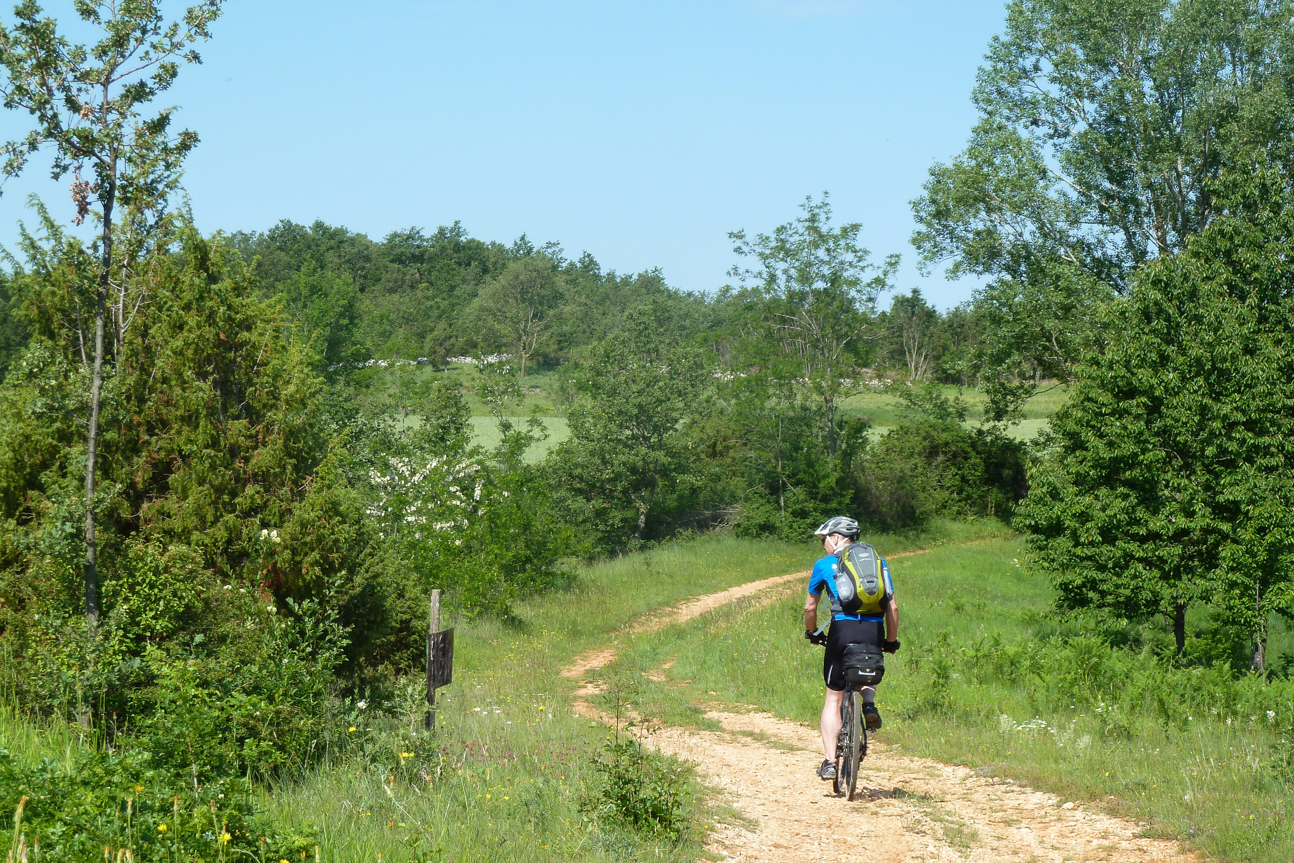 Radfahrer auf dem Feldweg durch istrisches Hügelland